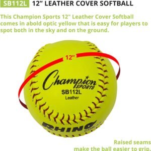 champion sports leather softballs review
