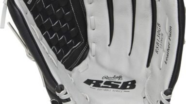 rawlings rsb slowpitch softball glove series review