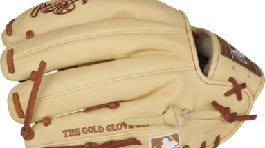 rawlings pro preferred baseball glove review