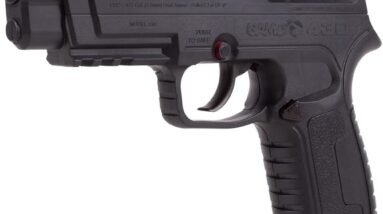 gamo p 430 dual pelletbb air pistol review