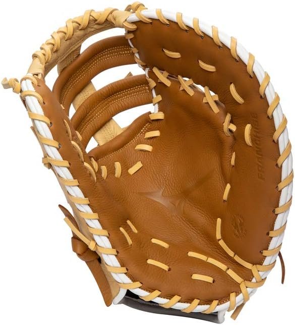 Mizuno Franchise Baseball Glove Series