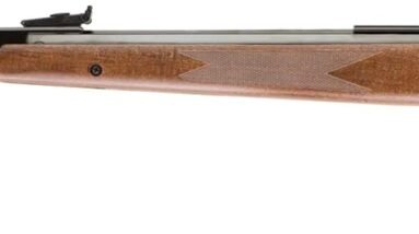 umarex diana rws model 350 magnum break barrel hardwood stock pellet gun air rifle review