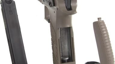 asg cz p 09 177 caliber pelletbb gun blowback air pistol review
