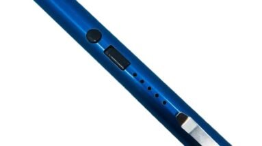 street wise security products pain pen 25000000 stun gun blue review