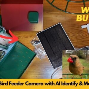 Osoeri Smart Bird Feeder Camera with AI Identify and Motion Detection | Worth Buying?
