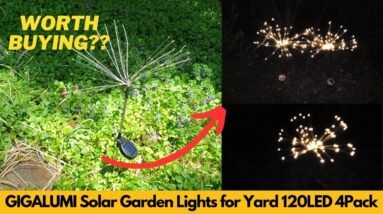 GIGALUMI Solar Garden Lights for Yard 120LED 4Pack | Worth Buying?