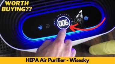 HEPA Air Purifier - Wisesky | Worth Buying?