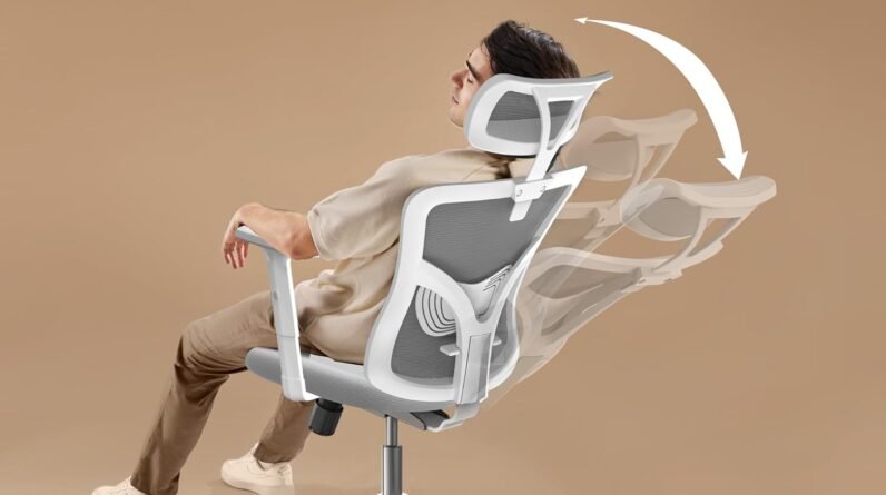 noblewell ergonomic office chair desk chair with 2 adjustable lumbar support headrest 2d armrest office chair backrest 1 3