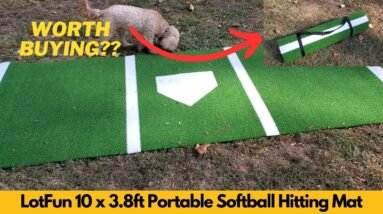 Worth It? LotFun Baseball Batting Mat, 10 x 3 8ft Portable Softball Hitting Mat for Batting Cage