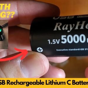 Worth It? RayHom USB Rechargeable Lithium C Batteries 4 Pack with 2 USB-C 2-in-1 Charging Cable