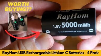 Worth It? RayHom USB Rechargeable Lithium C Batteries 4 Pack with 2 USB-C 2-in-1 Charging Cable