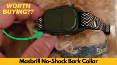Masbrill No Shock Bark Collar – Smart, Safe & Humane for Small and Medium Dogs - Worth Buying?