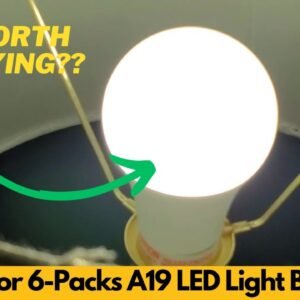 These Evelor LED bulbs are super bright and energy-saving – see them light up every room