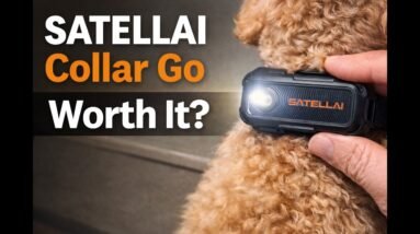 SATELLAI Collar Go Smart GPS Dog Collar Review – Live Tracking & Health Monitoring Tested