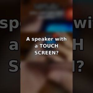 A Speaker With a Touch Screen? 🔊