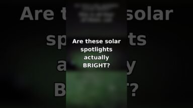 Are These Solar Spotlights Actually BRIGHT? ☀️