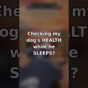 Checking My Dog's HEALTH While He SLEEPS? 🐶