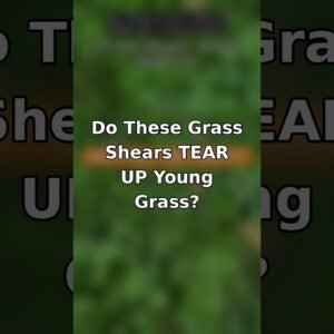 Do These Grass Shears Tear Up Young Grass? 🌱