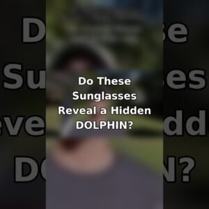 Do These Sunglasses Reveal a Hidden Dolphin? 🕶️