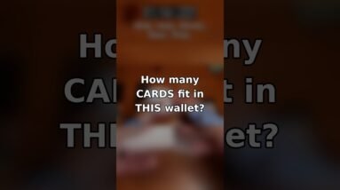 How Many CARDS Fit in THIS Wallet? 💳