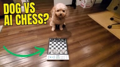 LC2B Advanced Electronic Chess Set Review