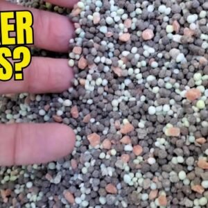 The Andersons Premium New Lawn Starter Fertilizer Review