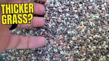 The Andersons Premium New Lawn Starter Fertilizer Review